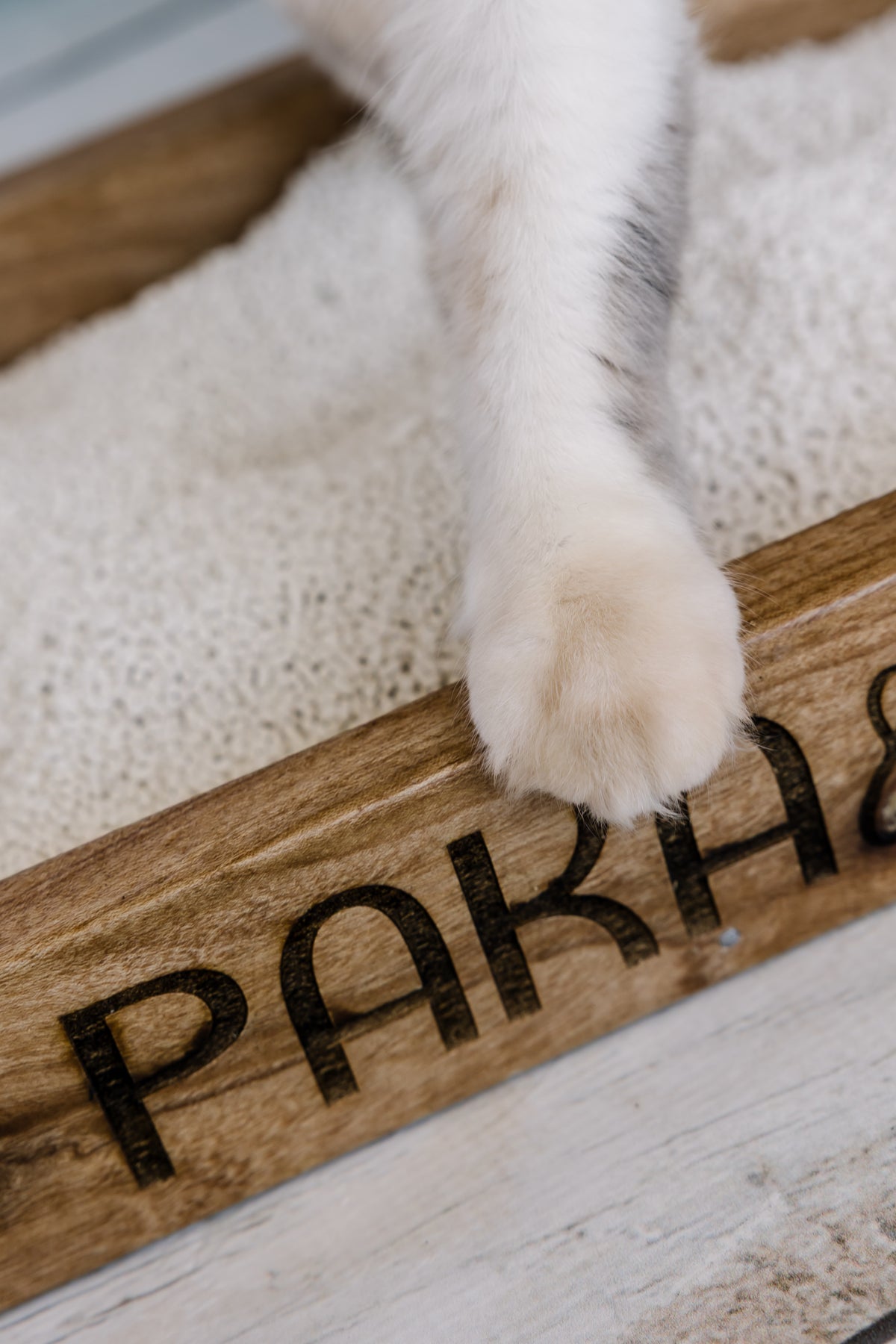 Cat paw on Paka litter