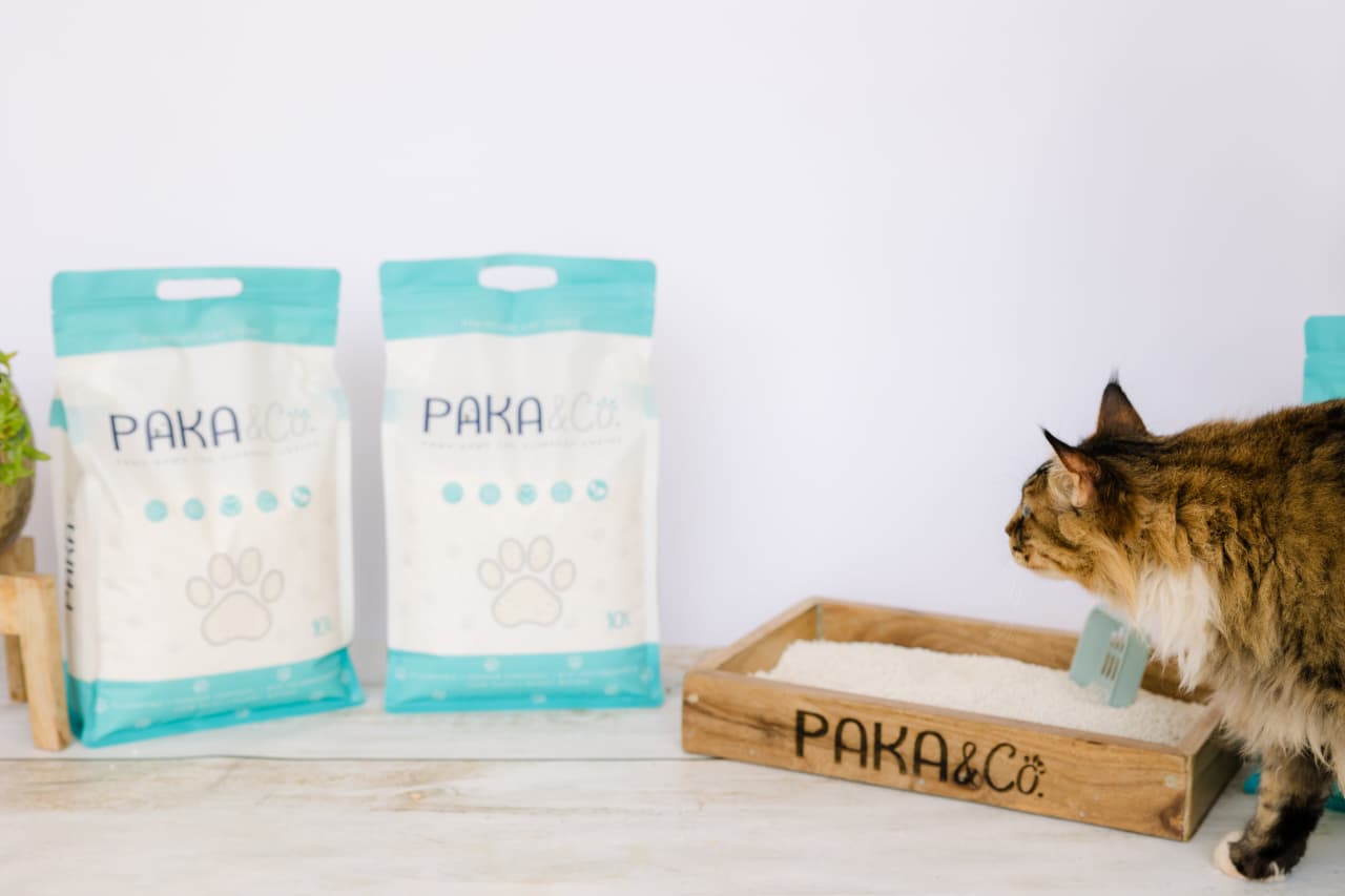 Paka and Co lifestyle photo