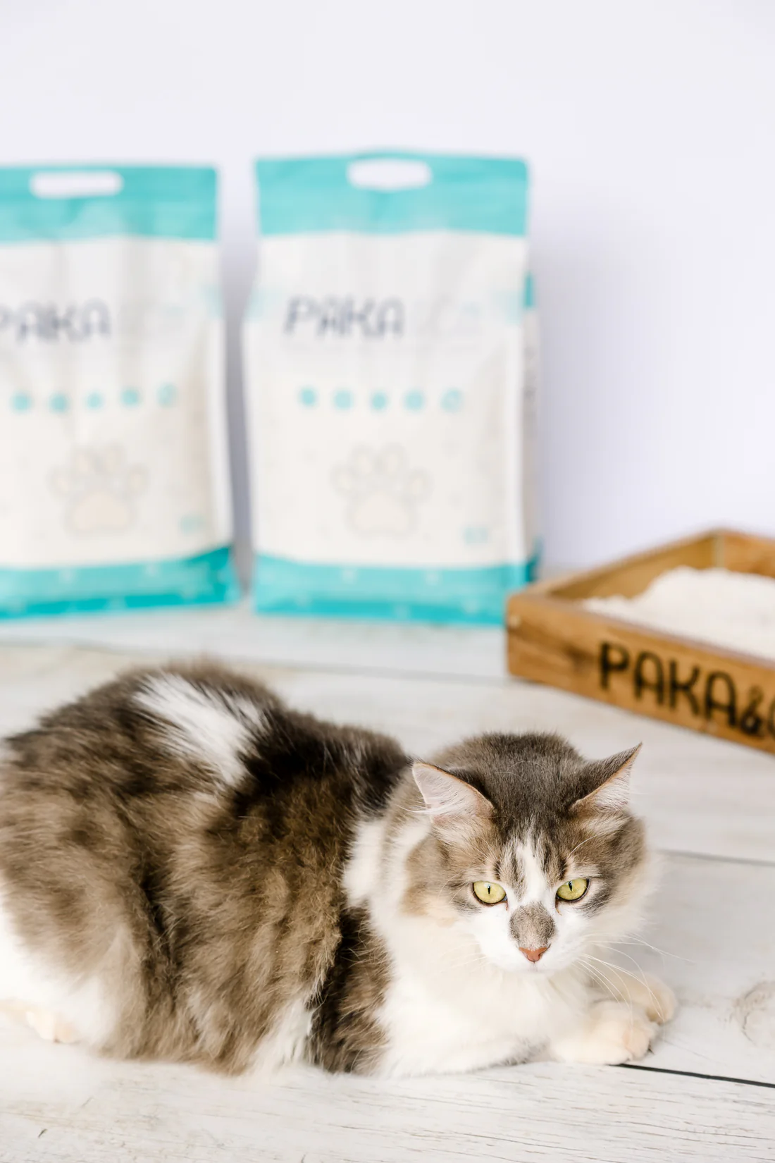 Cassava Cat Litter