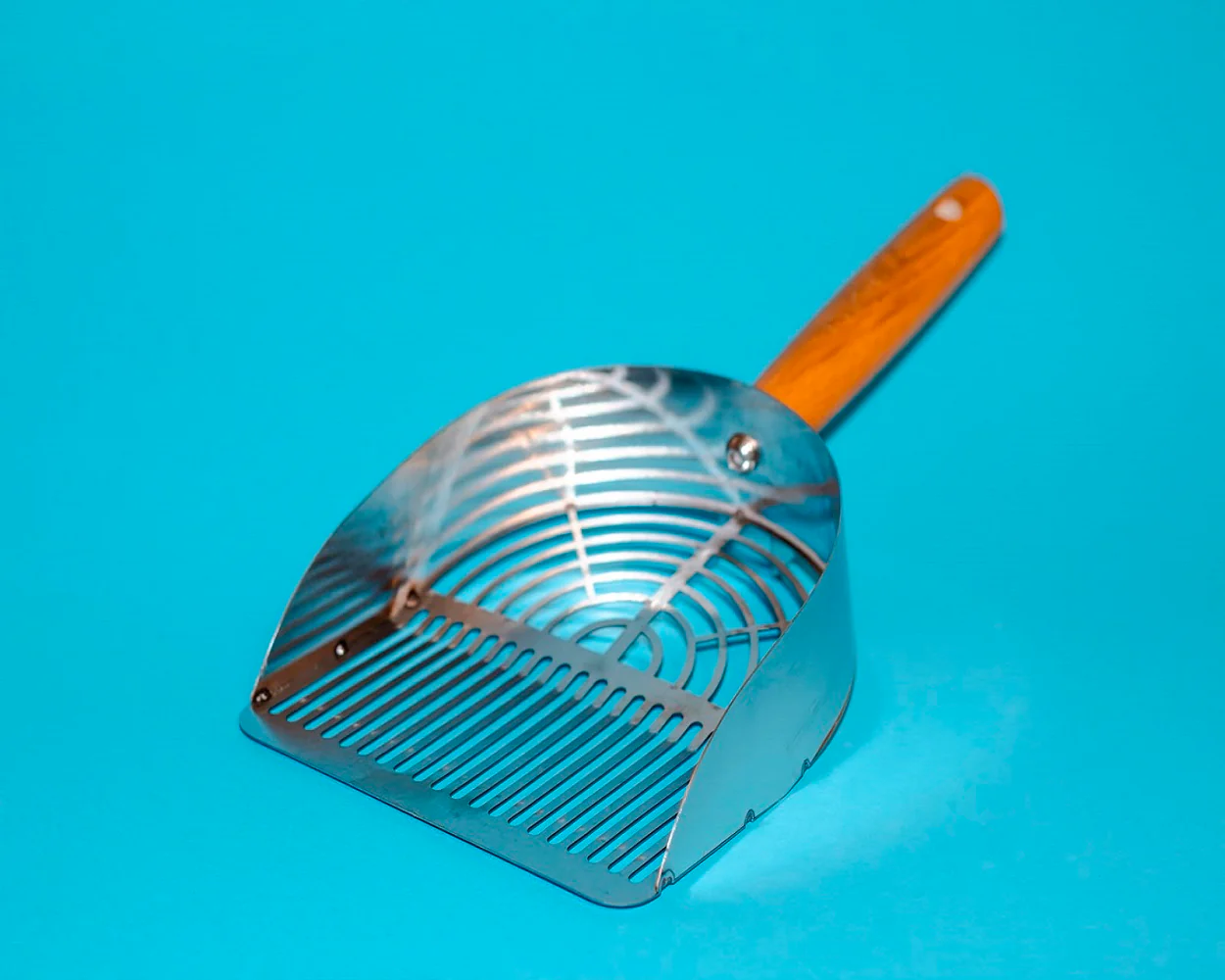 Premium Stainless Steel Litter Scoop